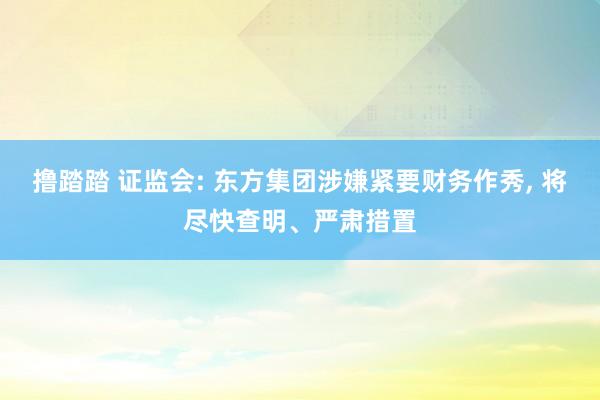 撸踏踏 证监会: 东方集团涉嫌紧要财务作秀， 将尽快查明、严肃措置