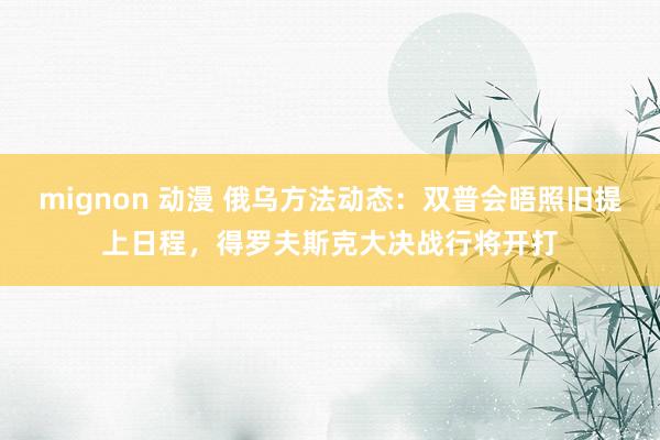 mignon 动漫 俄乌方法动态：双普会晤照旧提上日程，得罗夫斯克大决战行将开打