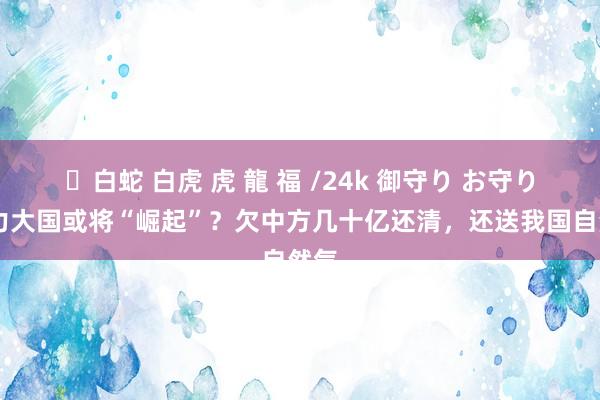 ✨白蛇 白虎 虎 龍 福 /24k 御守り お守り 动力大国或将“崛起”？欠中方几十亿还清，还送我国自然气
