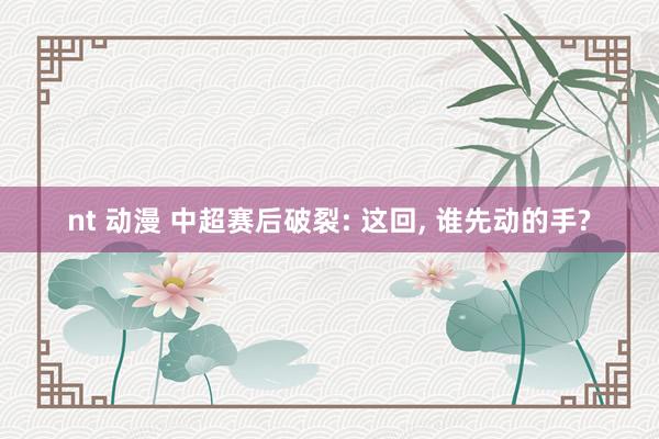 nt 动漫 中超赛后破裂: 这回， 谁先动的手?