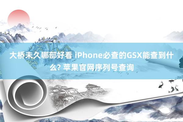 大桥未久哪部好看 iPhone必查的GSX能查到什么? 苹果官网序列号查询