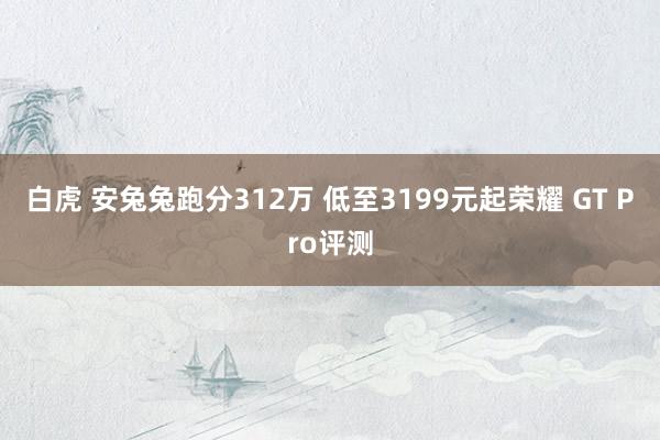 白虎 安兔兔跑分312万 低至3199元起荣耀 GT Pro