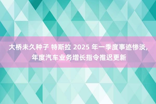 大桥未久种子 特斯拉 2025 年一季度事迹惨淡, 年度汽车