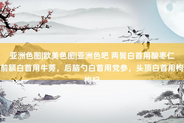亚洲色图|欧美色图|亚洲色吧 两鬓白首用酸枣仁，前额白首用牛