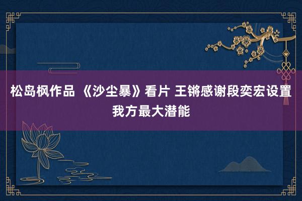 松岛枫作品 《沙尘暴》看片 王锵感谢段奕宏设置我方最大潜能